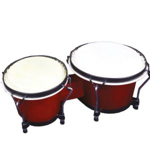 Bongo