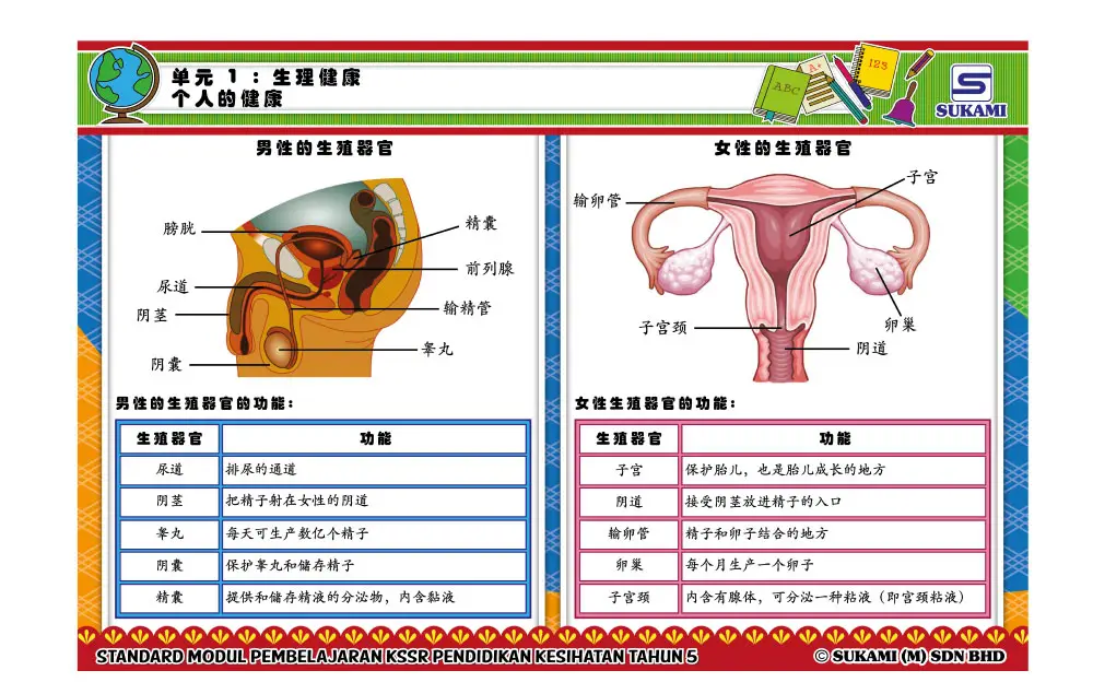 Standard Modul Pembelajaran Pendidikan Kesihatan KSSR Tahun 5 (Edisi Bahasa Cina) - Image 3