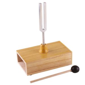 Kit Eksperimen Sains KSSR - Tala Bunyi (256Hz)