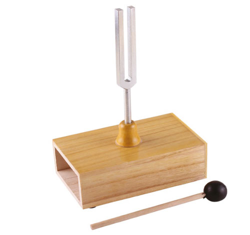 Kit Eksperimen Sains KSSR - Tala Bunyi (256Hz)