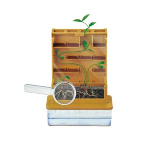 Grow-A-Maze Science Explore Kit