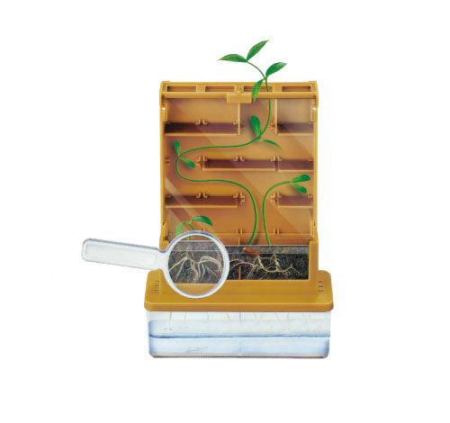 Grow-A-Maze Science Explore Kit